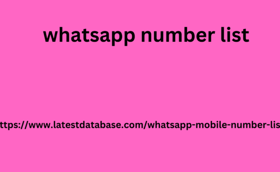 whatsapp number list