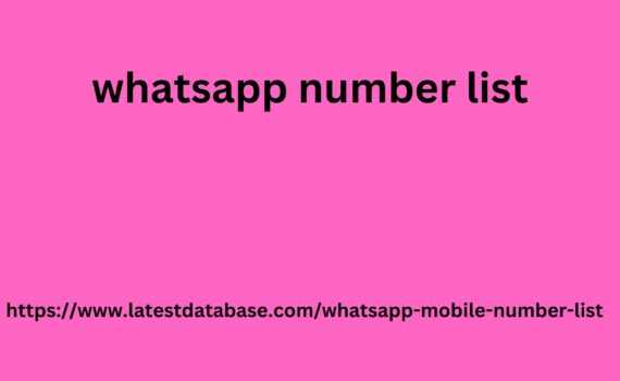 whatsapp number list